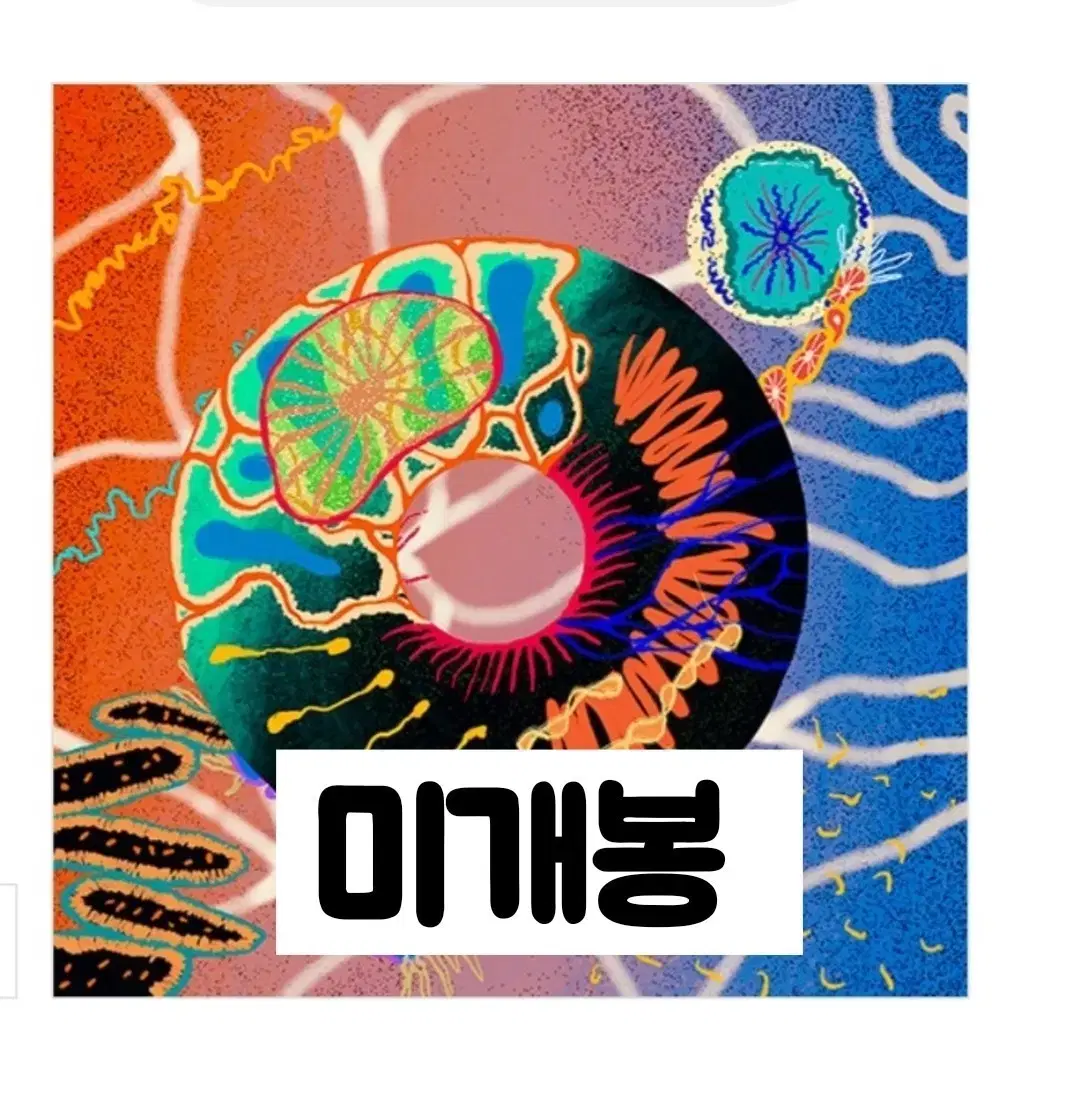 LANA ET ROSPO 라나에로스포 사랑해 / 토요일 밤에　レコード 라나에로스포 – 사랑해 / 토요일 밤에 – Vinyl (180g, LP, Album